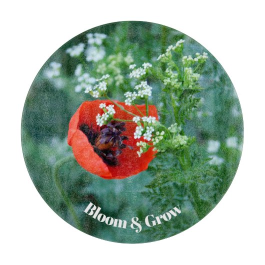 Rode klaproos Bloem Decorative Glasplaat | Bloem A Snijplank (Voorkant)