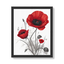 Rode klaproos bloemen