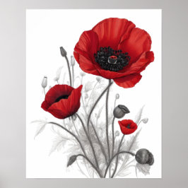 Rode klaproos bloemen poster