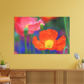 Rode Klaproos Canvas Afdruk (Insitu (Woonkamer))