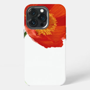 Rode Klaproos Eenvoud iPhone 13 Pro Hoesje