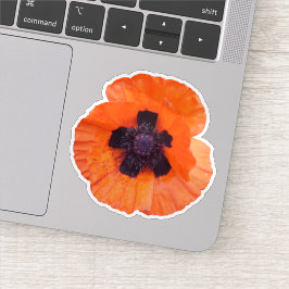 Rode Klaproos Foto Sticker
