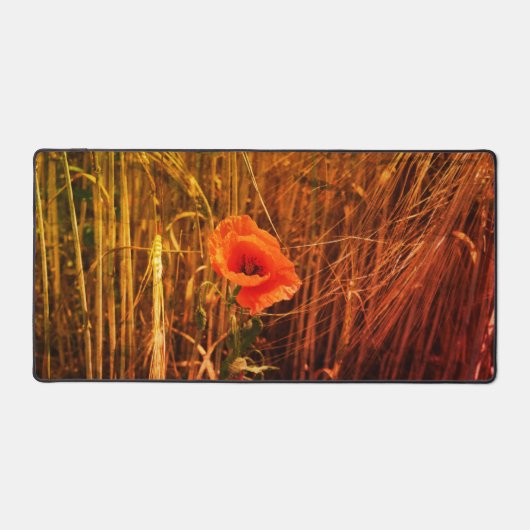 Rode klaproos in gouden tarweveld bureaumat (Voorkant)