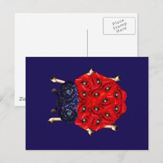 Rode klaproos kever grafiek briefkaart (Voorkant / Achterkant)