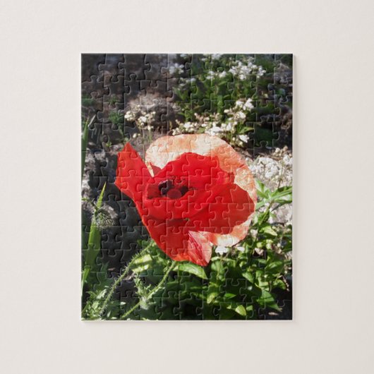 Rode klaproos legpuzzel (Verticaal)