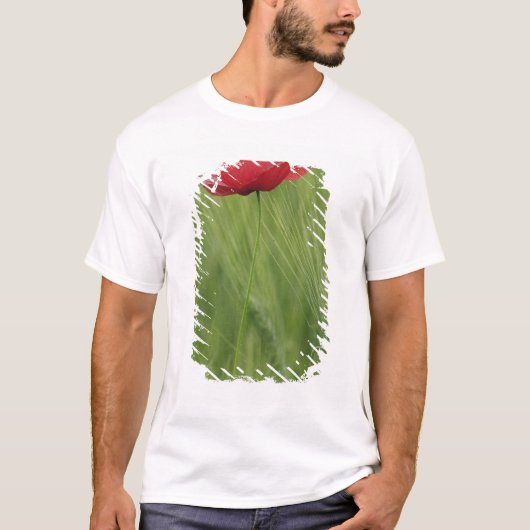 Rode klaproos onder de tarwe, Toscane, T-shirt (Voorkant)