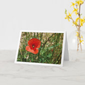 Rode Klaproos Portret Kaart (Gele Bloem)