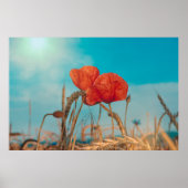 Rode Klaproos - Poster (Voorkant)