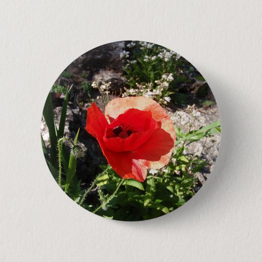 Rode klaproos ronde button 5,7 cm (Voorkant)