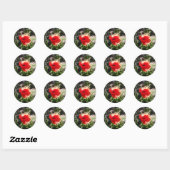 Rode klaproos ronde sticker (Vel)