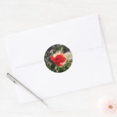 Rode klaproos ronde sticker (Envelop)