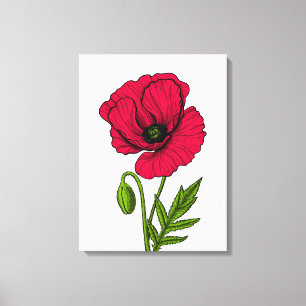 Rode klaproos tekening canvas afdruk