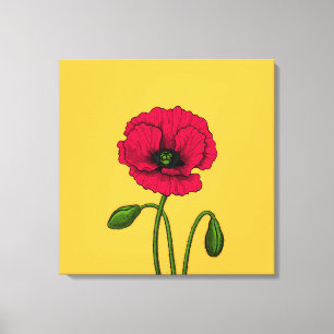 Rode klaproos tekening canvas afdruk