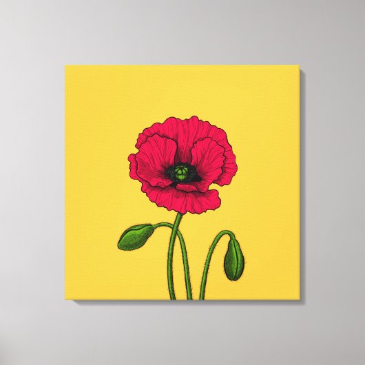 Rode klaproos tekening canvas afdruk (Voorkant)