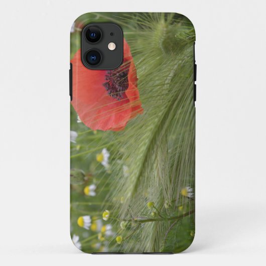Rode klaproos, Toscane, Italië Case-Mate iPhone Case (Achterkant)
