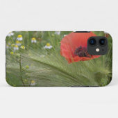 Rode klaproos, Toscane, Italië Case-Mate iPhone Case (Achterkant (horizontaal))