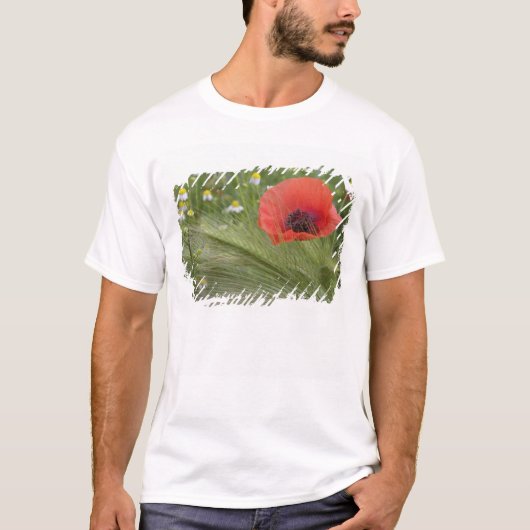 Rode klaproos, Toscane, Italië T-shirt (Voorkant)