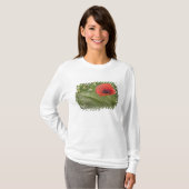 Rode klaproos, Toscane, Italië T-shirt (Voorkant volledig)