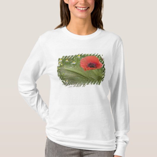 Rode klaproos, Toscane, Italië T-shirt (Voorkant)