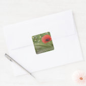 Rode klaproos, Toscane, Italië Vierkante Sticker (Envelop)