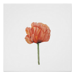 Rode Klaproos Watercolor Botanische Print Perfect Poster