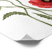 Rode Klaproos Wilde Bloem Botanisch Aquarel Poster (Hoek)