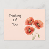 Rode Klaprozen Bloemen Briefkaart (Voorkant)