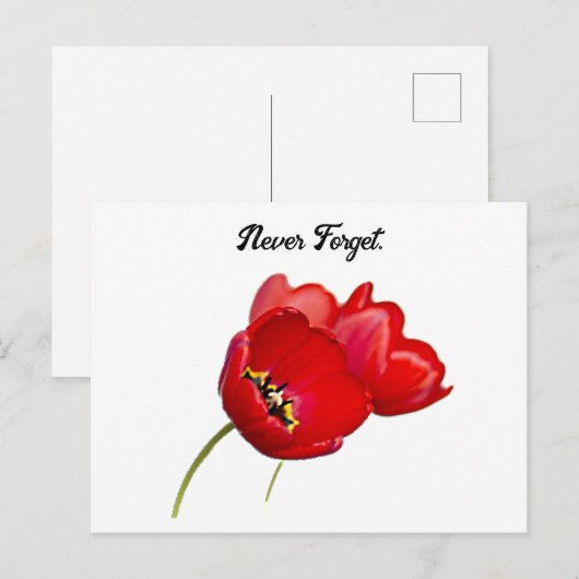 Rode Klaprozen Herdenkingsdag Nooit Vergeten Kunst Briefkaart (Voorkant / Achterkant)
