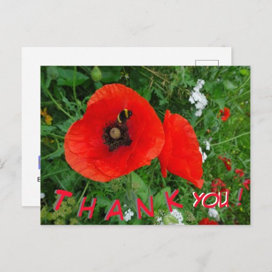 Rode klaprozen met bij DANK U wel ansichtkaart Briefkaart (Voorkant / Achterkant)