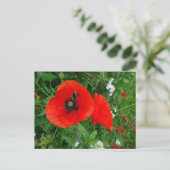 Rode klaprozen met bijen DIY Briefkaart (Staand voorkant)