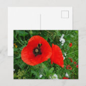 Rode klaprozen met bijen DIY Briefkaart (Voorkant / Achterkant)