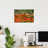 Rode klaprozen onder oude olijfbomen poster (Thuiskantoor)