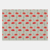 Rode klaprozen strepen met pastelgroen en roze inpakpapier vel (Voorkant)