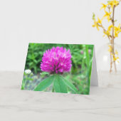 Rode Klaver Blossom 3 Wenskaart Kaart (Gele Bloem)