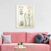 Rode klaver en Aube Bellidis Onobrychis en Hyssopu Canvas Afdruk (Insitu (Woonkamer))