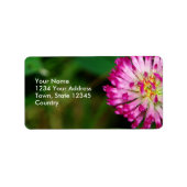 Rode klaver etiket (Voorkant)