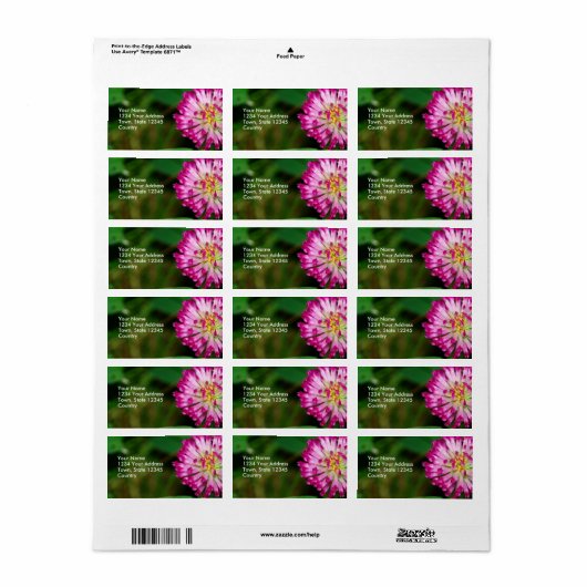 Rode klaver etiket (Full Sheet)