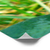 rode klaver poster (Hoek)