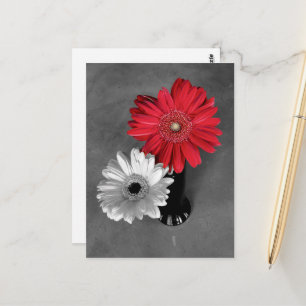 Rode kleurspat Gerber-margriet foto Briefkaart