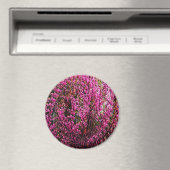 Rode knop bloemen...... magneet (Insitu (Vaatwasser))