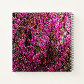 Rode knop bloemen....... notitieboek (Achterkant)