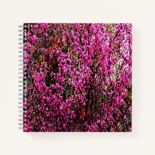 Rode knop bloemen....... notitieboek (Voorkant)