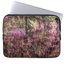 Rode knop bomen.....