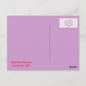 rode knoppen briefkaart (Achterkant)