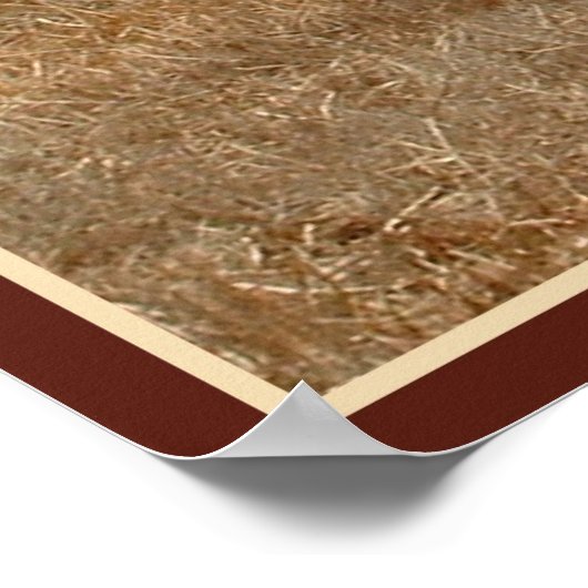 rode koe afdrukken met rand poster (Hoek)