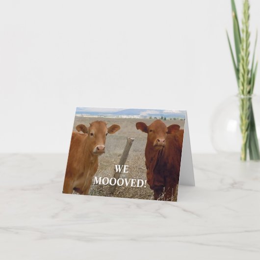 Rode Koeien - Westerne adreswijziging Aankondiging (Voorkant)