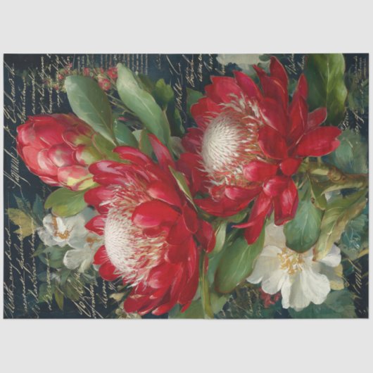 Rode Koning Protea Bloem Decoupage Tissuepapier (Voorkant)
