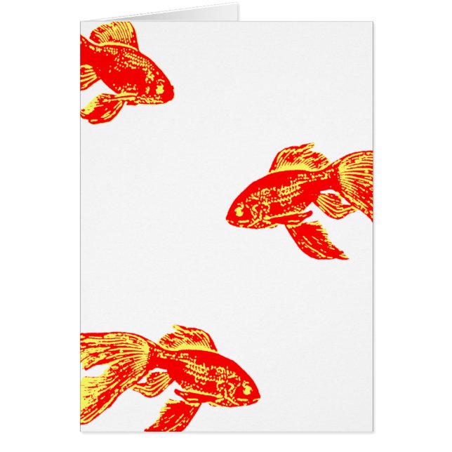 rode konkio (Voorkant)