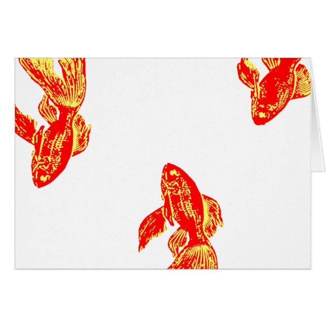 rode konkio (Voorkant Horizontaal)