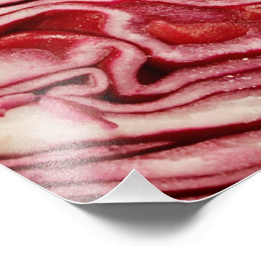 Rode kool foto afdruk (Hoek)